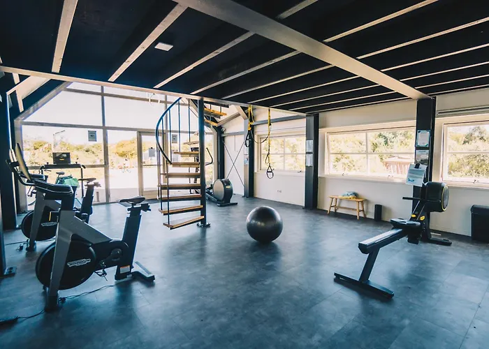 Surfana Camp Bloemendaal Overveen