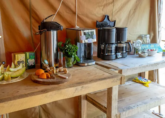 Surfana Camp Bloemendaal *