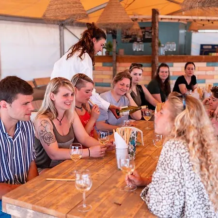 Surfana Beach Bed&Breakfast Bloemendaal