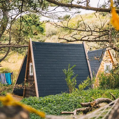 Surfana Camp Bloemendaal *